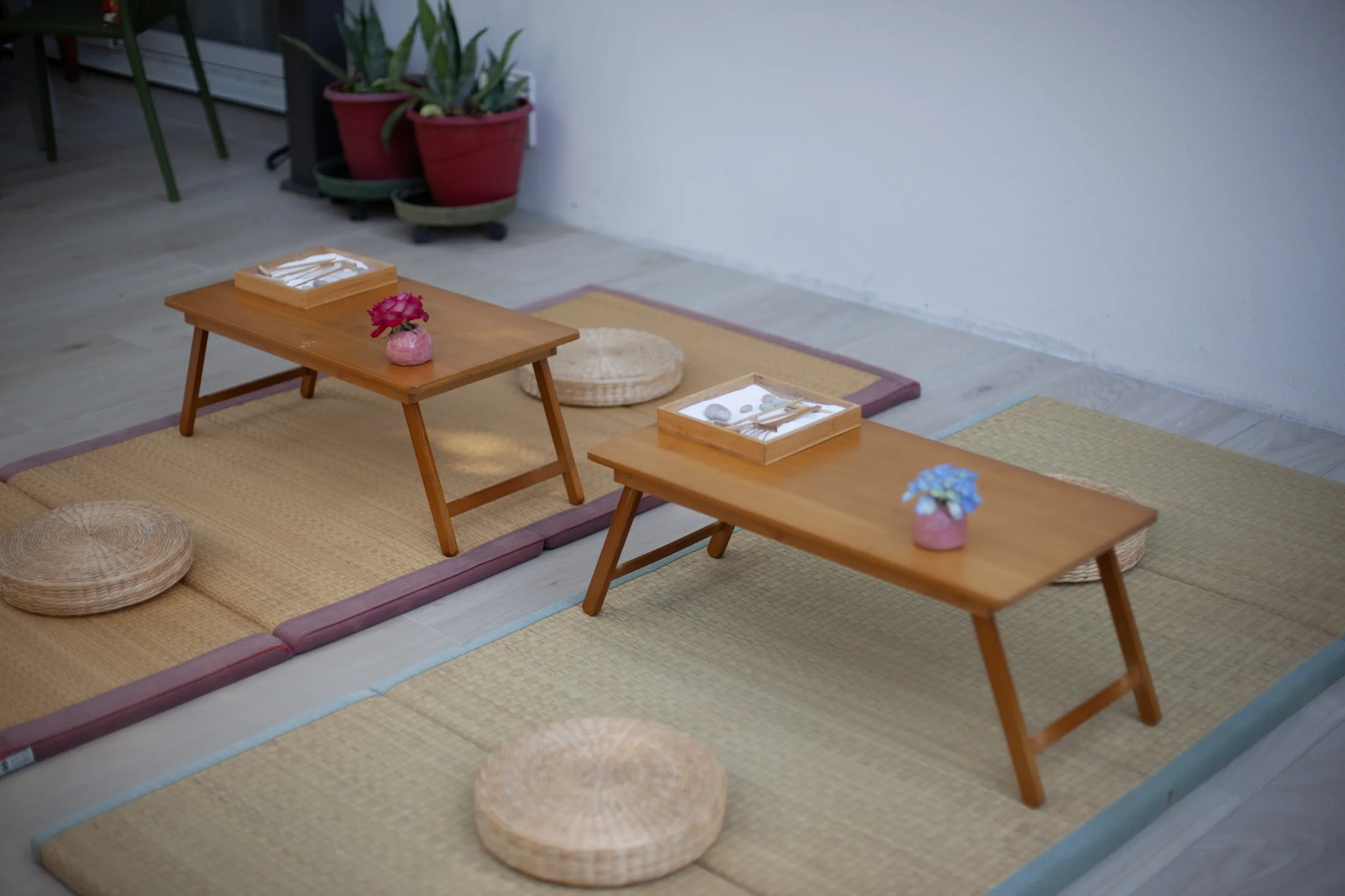 Kogo Mochi