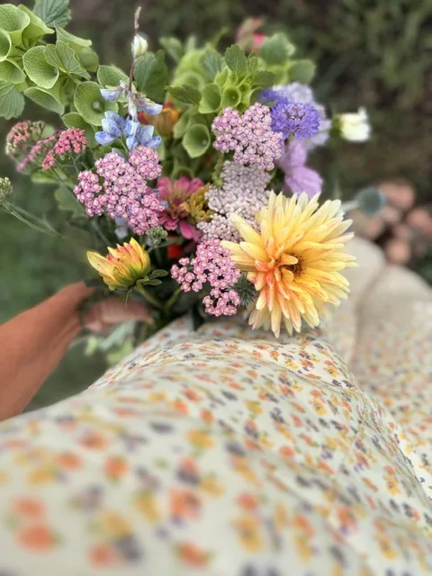 Viens on sème